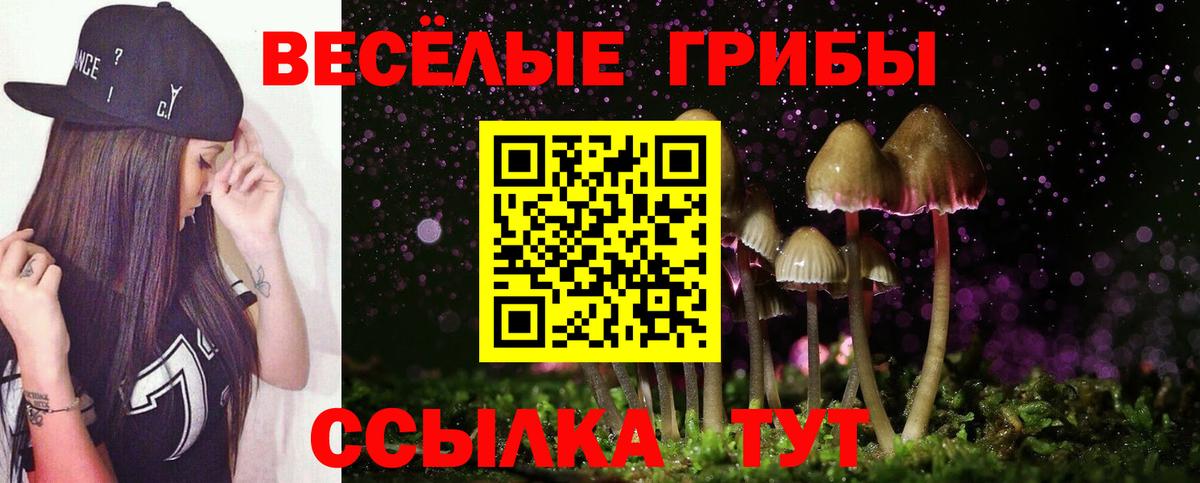 Псилоцибиновые грибы ЛСД  Вход с VPN  Псилоцибиновые грибы прущие грибы  Кохма 