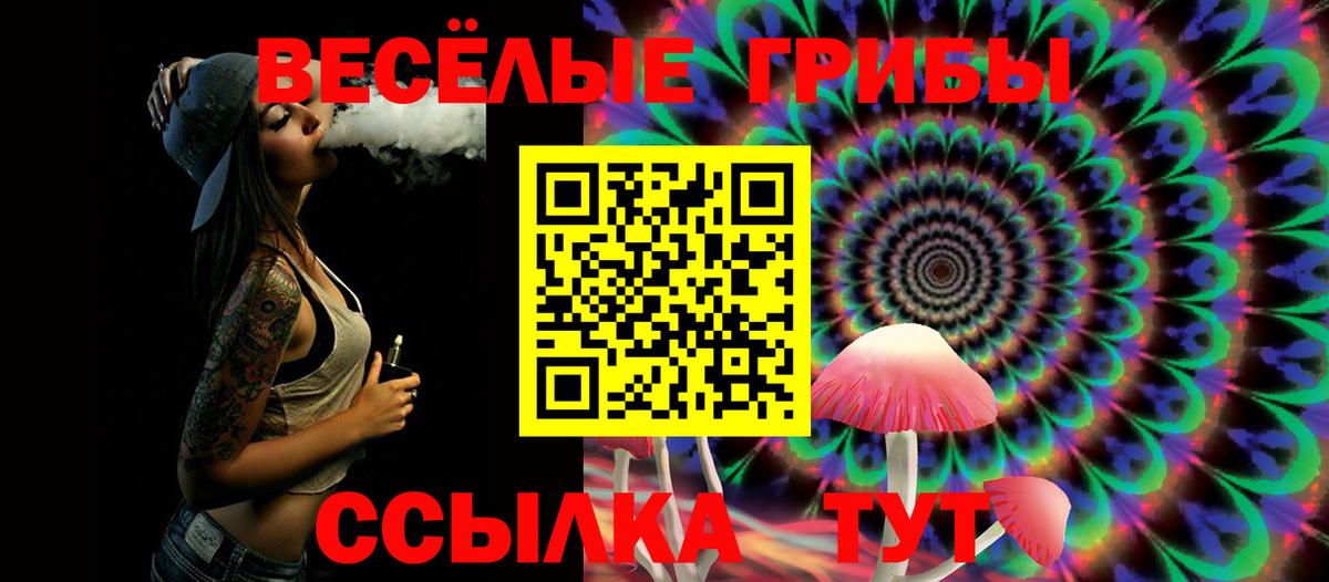 Псилоцибиновые грибы мухоморы Кохма