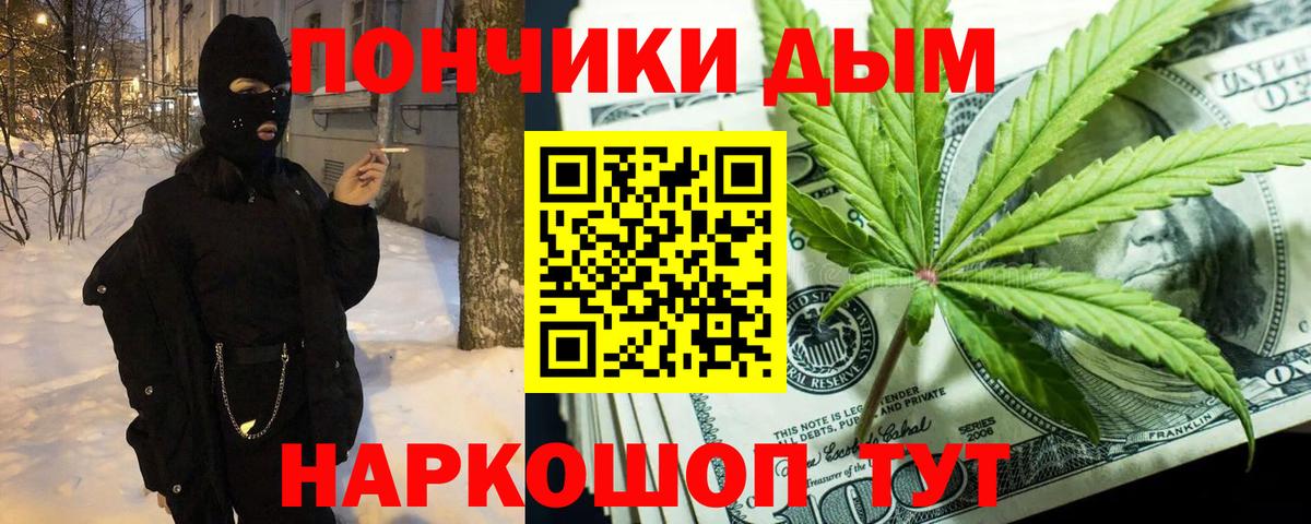 Галлюциногенные грибы Кохма