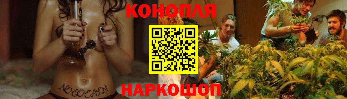 Кохма  Конопля OG Kush  Шишки марихуана SATIVA & INDICA  Вход с VPN  МАРИХУАНА планчик  Конопля VHQ 